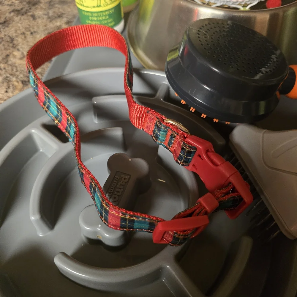 Pet Accessory Bundle with Slow Feeder and Grooming Tools